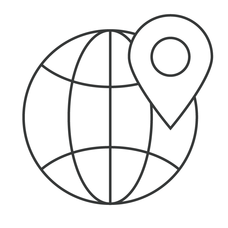 Globe with location symbol